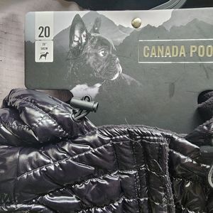 Canada pooch shiny vest
